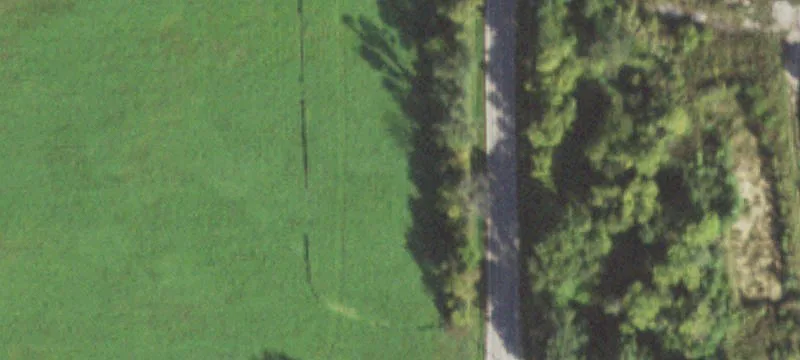 Siedschlag Rd