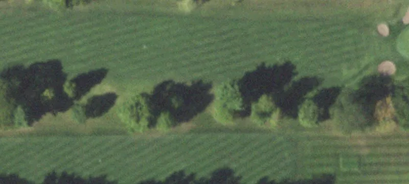 Urbana, IL 61801