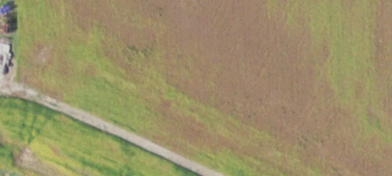 3424 Mueller Farm Ln