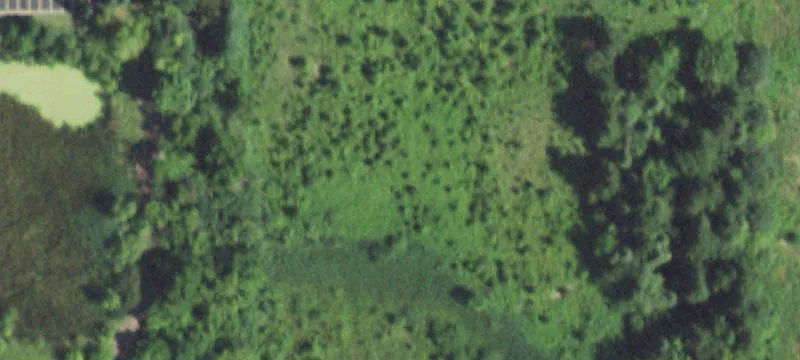 19205 Sand Lk Rd