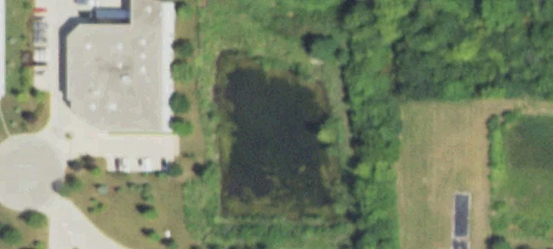 965 Telser Rd