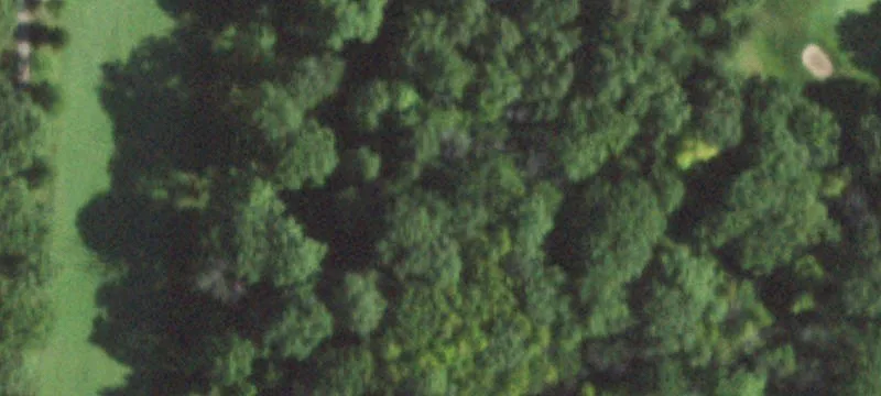 1200 Saunders Rd