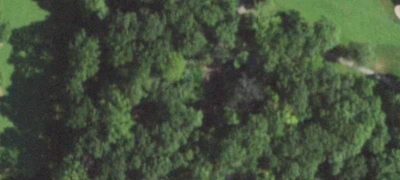 1200 Saunders Rd