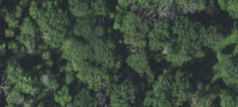 34500 Ctr Rd
