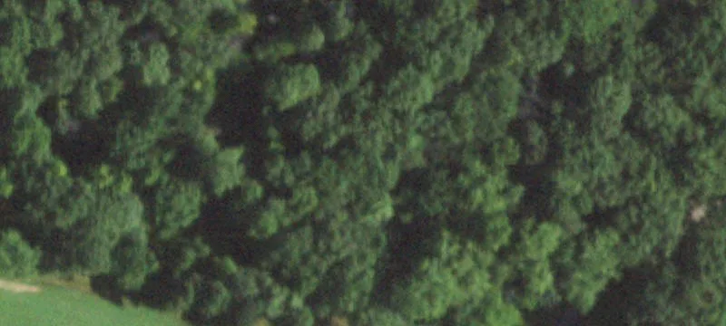 1200 Saunders Rd