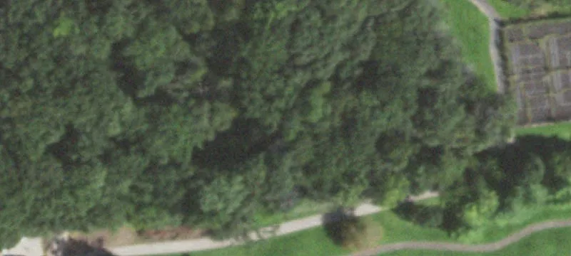 1195 Summerhill Dr