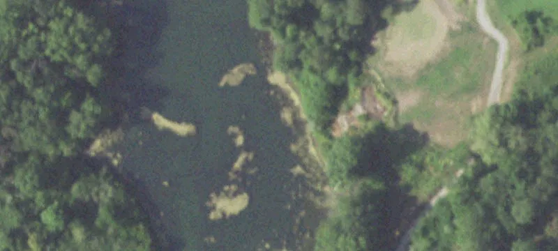 15722 Kenabeck Trl