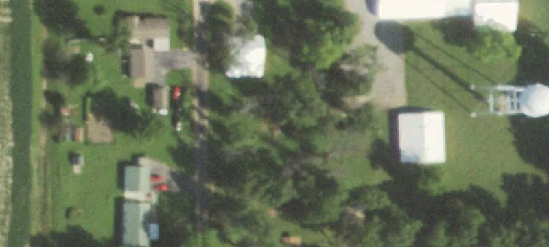 Poplar