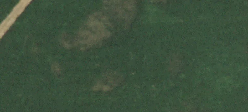 5617 Wyanet-walnut Rd