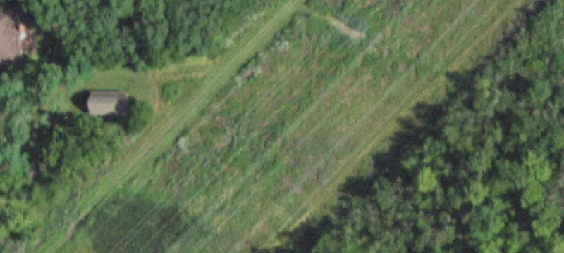 Maple Rd