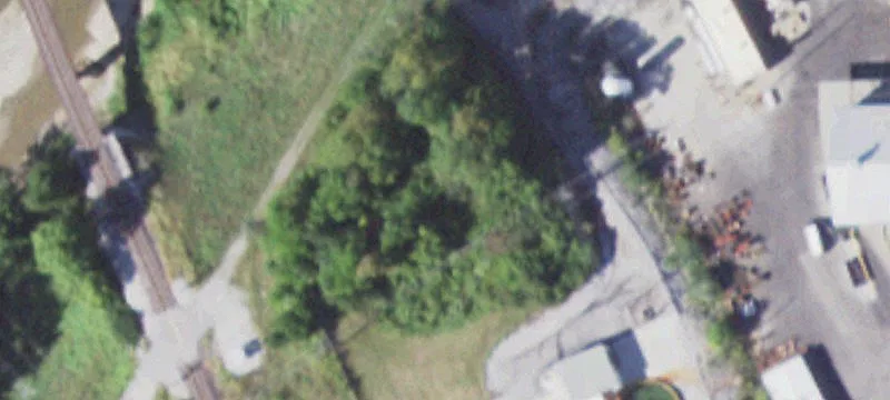 427 Shamrock St