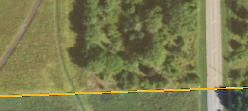 Brandon Rd