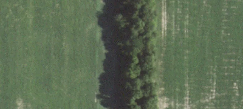 Dawson, IL 62520