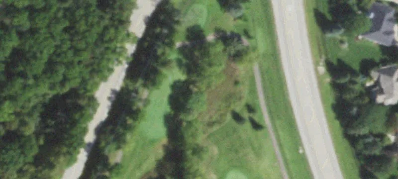 Wayne, IL 60184