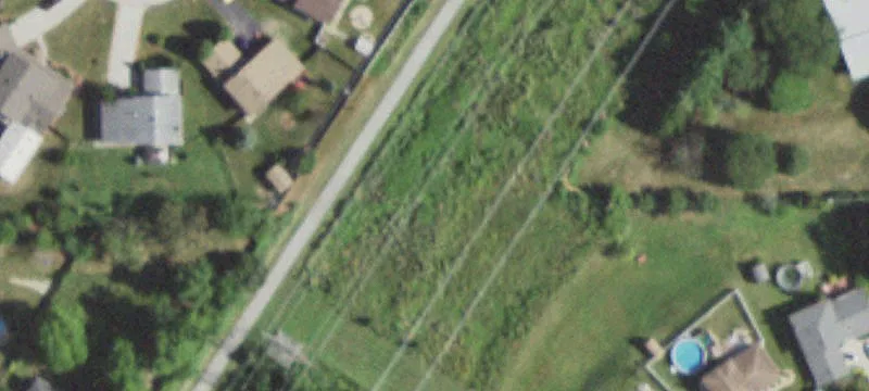 Partridge Ln
