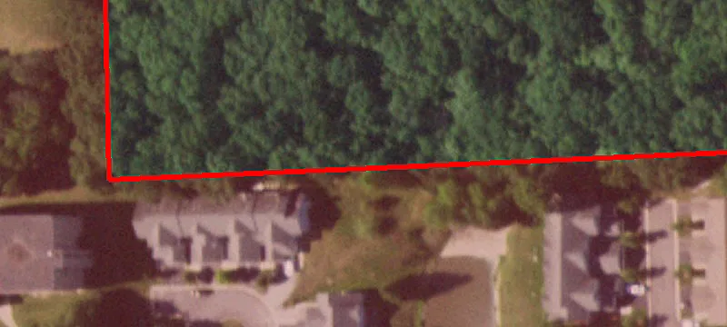 Sycamore Dr