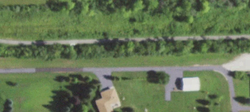 Wolf Rd