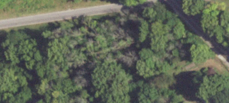 13 Brewer Rd