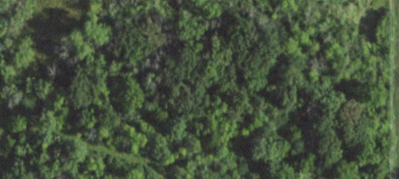 18100 Stearns School Rd