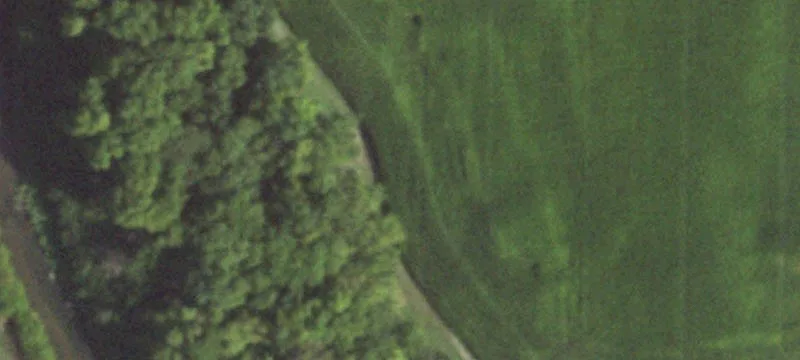 Sadorus, IL 61872
