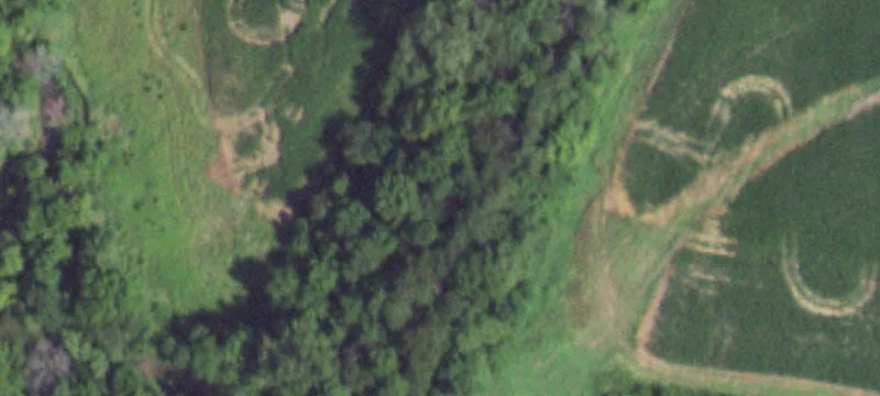 Lowpoint, IL 61545