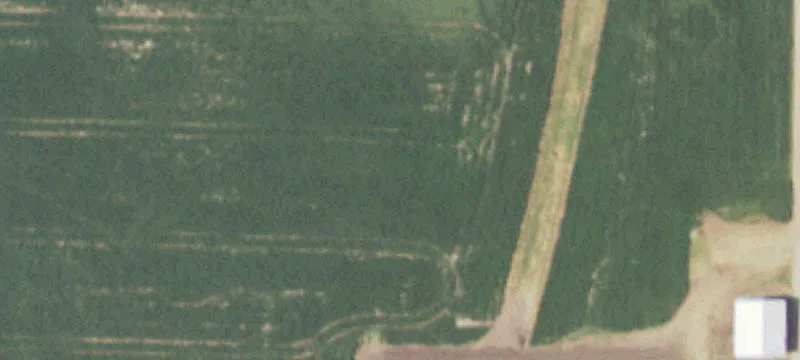 Lynn Center, IL 61262