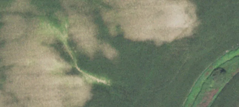Secor, IL 61771