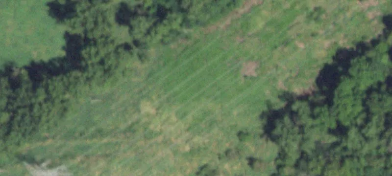 Woodridge, IL 60517
