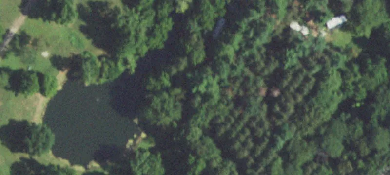 7597 Log Cabin Rd