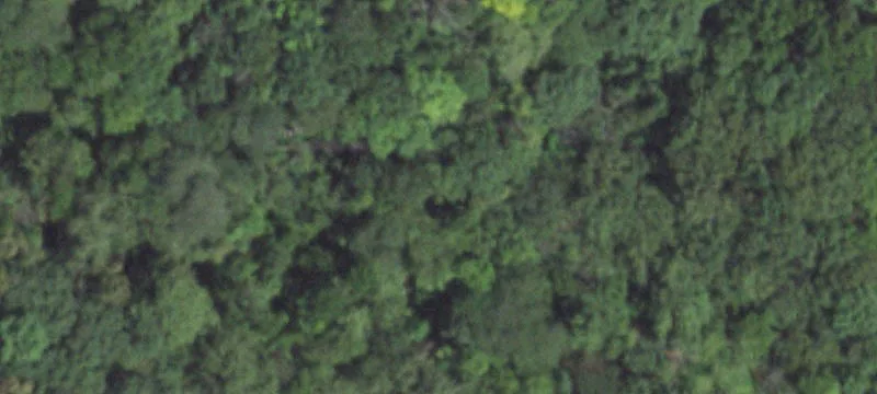 Carbon Cliff, IL 61239