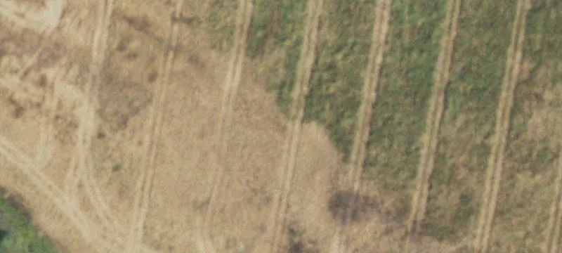 Kavanaugh Rd