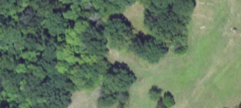 Carlock, IL 61725