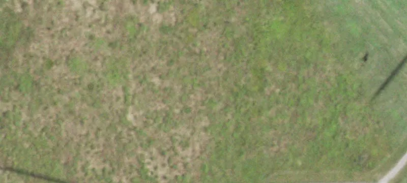 10950 Grn Rdg Ln
