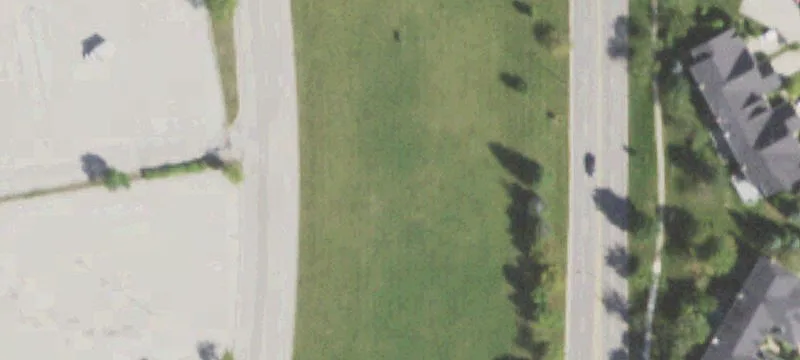 Springfield Dr