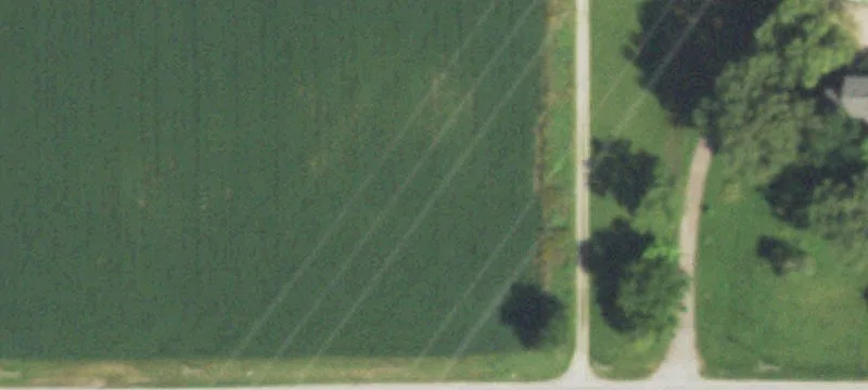 Steger Rd