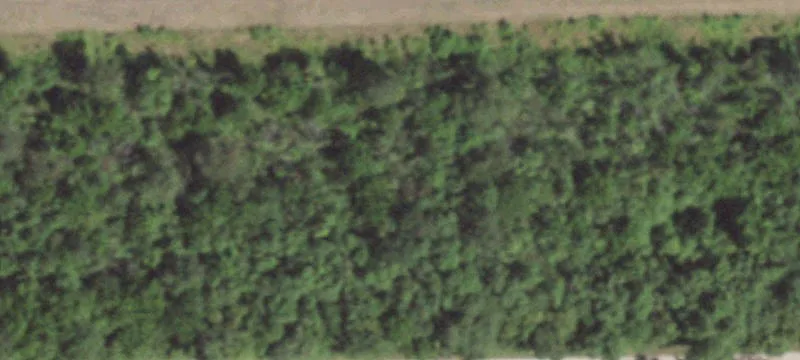 Cordova, IL 61242