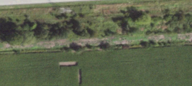 Seymour, IL 61875