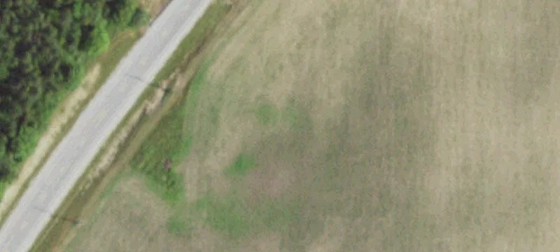 Steger-monee Rd