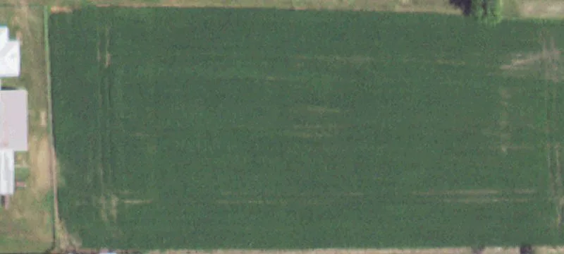 Lowpoint, IL 61545