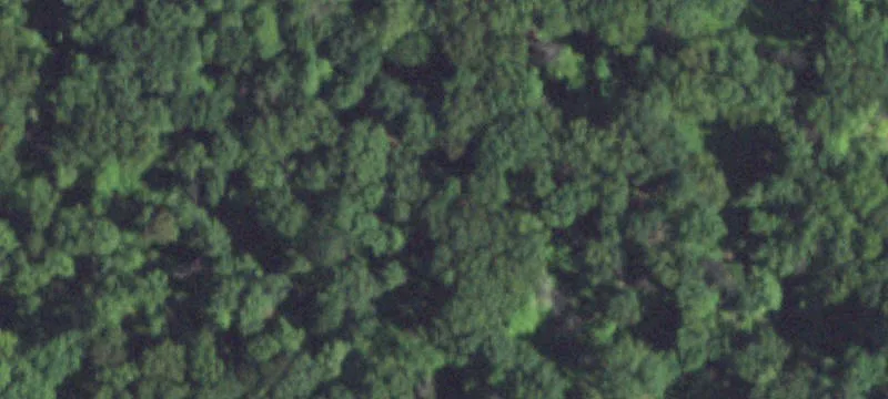 Recreational Area