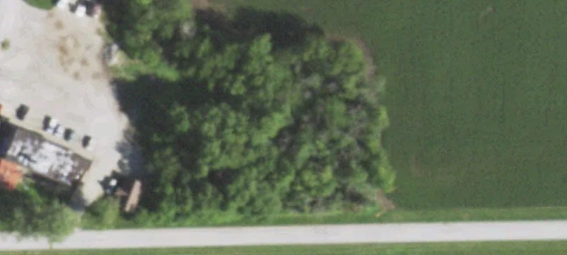 Rt 50