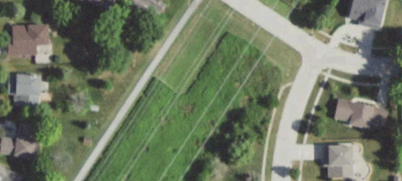 Partridge Ln