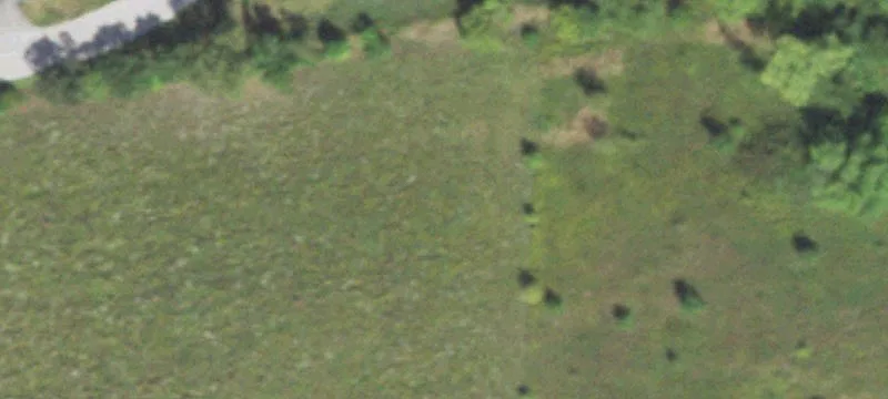 Wayne, IL 60184