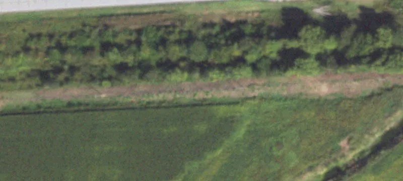 Seymour, IL 61875