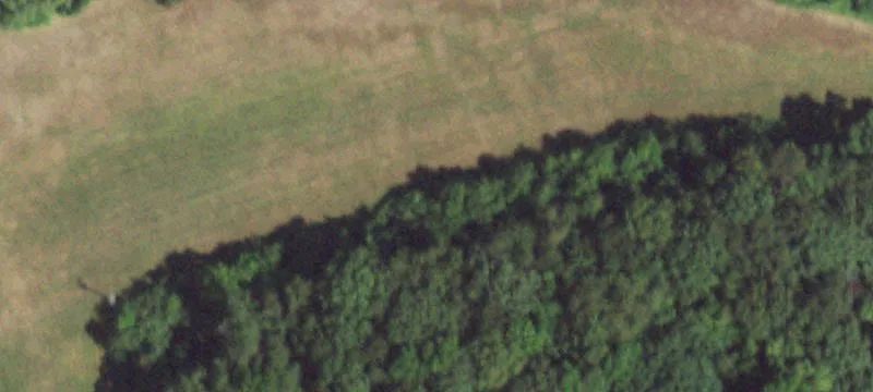 1117 Daysville Rd