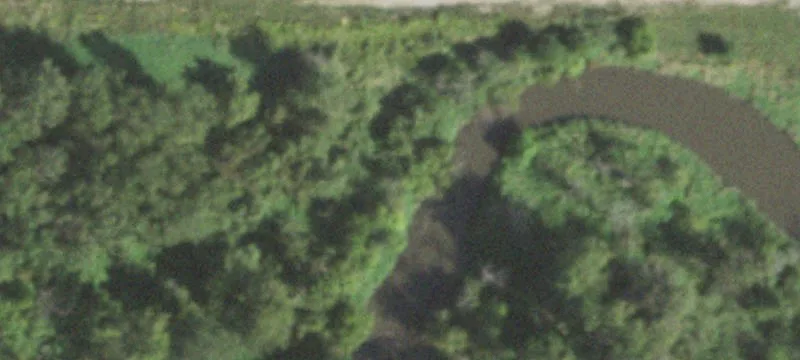 Royce Rd