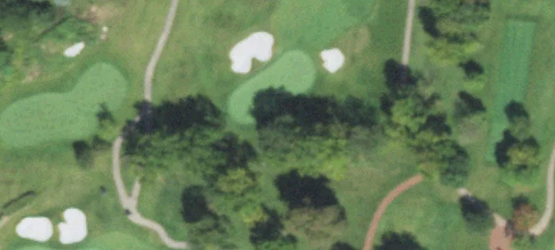 Wayne, IL 60184