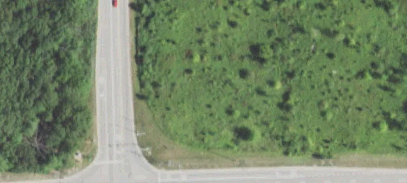 Lemont Rd