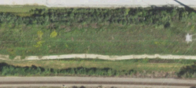 Pfeiffer Rd