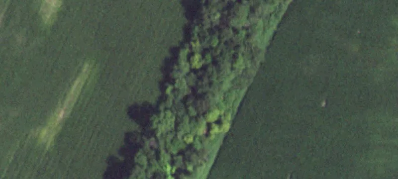 Lowpoint, IL 61545